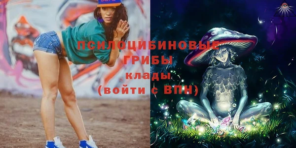 ешки Алексин