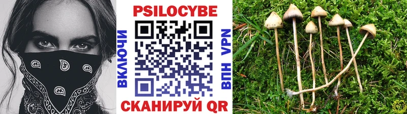 Псилоцибиновые грибы Cubensis  Яровое 
